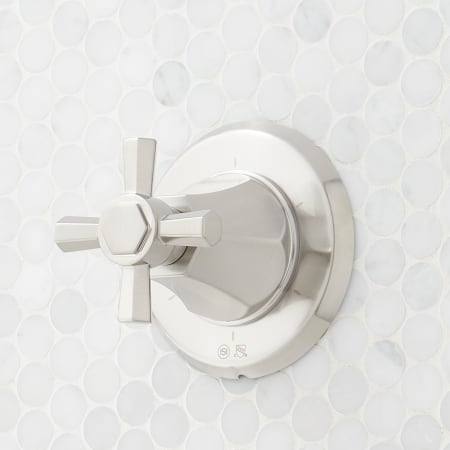 A large image of the Signature Hardware 955085-C Brushed Nickel