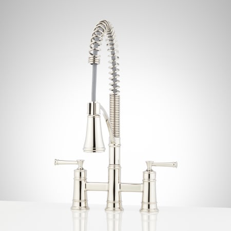 A large image of the Signature Hardware 955095 Polished Nickel