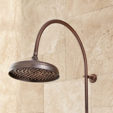 A large image of the Signature Hardware 905351 Signature Hardware-905351-Shower Head - Oil Rubbed Bronze