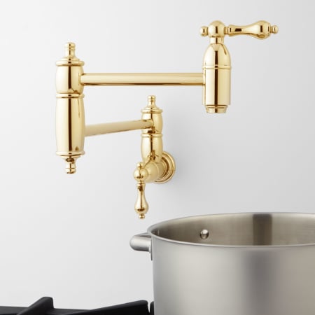 A large image of the Signature Hardware 907294 Signature Hardware-907294-Application Shot - Polished Brass