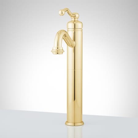 A large image of the Signature Hardware 910802-NO Signature Hardware-910802-NO-Polished Brass - Front