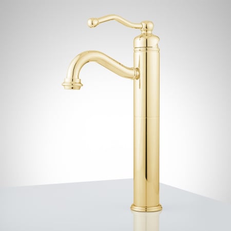 A large image of the Signature Hardware 910802-NO Signature Hardware-910802-NO-Polished Brass - Side