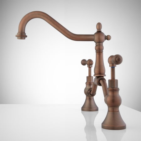 A large image of the Signature Hardware 918025 Signature Hardware-918025-Oil Rubbed Bronze - Side