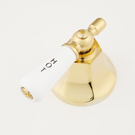 A large image of the Signature Hardware 918901 Signature Hardware-918901-Handle Close Up View
