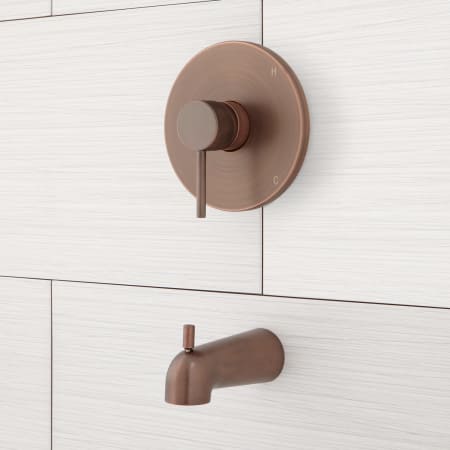 A large image of the Signature Hardware 919052 Signature Hardware-919052-Oil Rubbed Bronze Detail