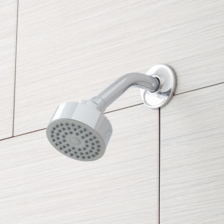 A large image of the Signature Hardware 919052 Signature Hardware-919052-Shower Head Detail