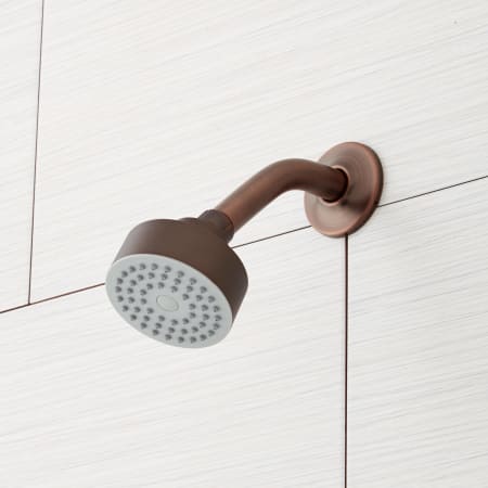 A large image of the Signature Hardware 919052 Signature Hardware-919052-Shower Head Detail