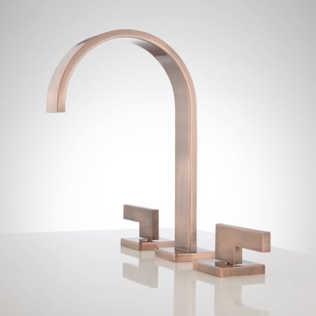 A large image of the Signature Hardware 920335-NO Signature Hardware-920335-NO-Antique Copper - Side
