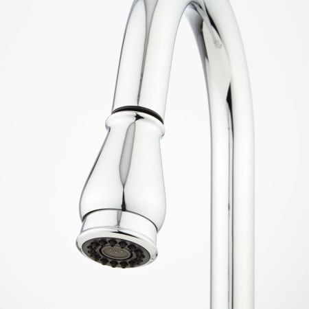 A large image of the Signature Hardware 921264 Signature Hardware-921264-Sprayer Close Up - Chrome