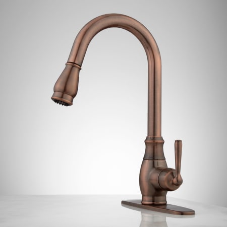 faucet kitchen plate signature hardware hahn pull deck down bronze withrow faucets