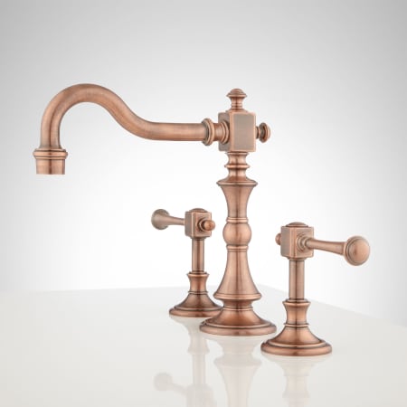 A large image of the Signature Hardware 924484 Alternate View