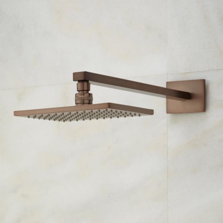 A large image of the Signature Hardware 925939 Signature Hardware-925939-Shower Head - Oil Rubbed Bronze