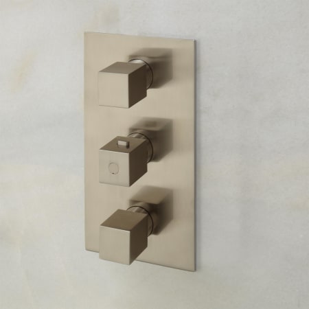 A large image of the Signature Hardware 925939 Signature Hardware-925939-Valve Trim - Brushed Nickel