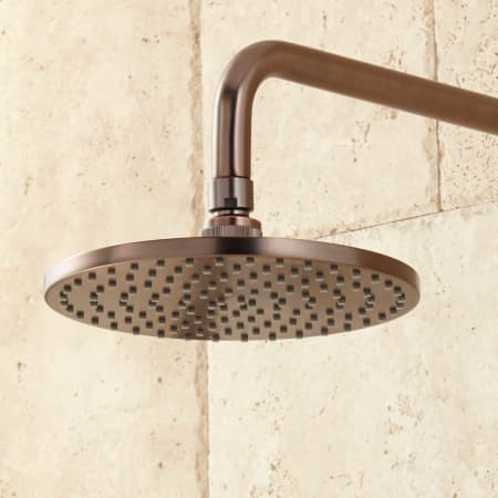 A large image of the Signature Hardware 925945 Signature Hardware-925945-Shower Head- Oil Rubbed Bronze
