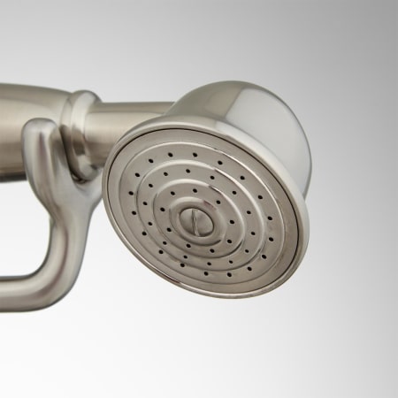 A large image of the Signature Hardware 927727 Signature Hardware-927727-Hand Shower Detail