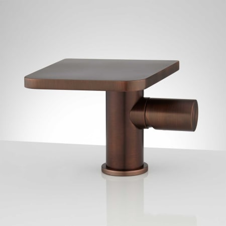 A large image of the Signature Hardware 927743 Signature Hardware-927743-Oil Rubbed Bronze - Front