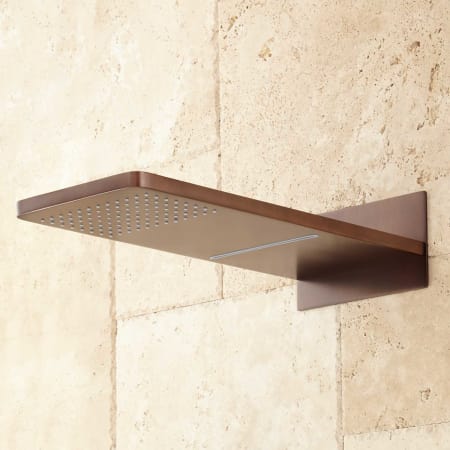A large image of the Signature Hardware 927746 Signature Hardware-927746-Shower Head - Oil Rubbed Bronze