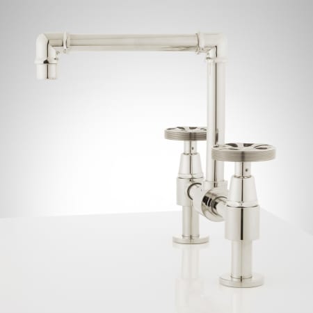 A large image of the Signature Hardware 929279 Signature Hardware-929279-Polished Nickel - Side