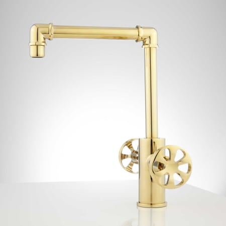 A large image of the Signature Hardware 929281-NO Signature Hardware-929281-NO-Polished Brass - Side