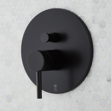 A large image of the Signature Hardware 931419 Alternate Image