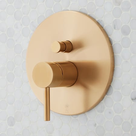 A large image of the Signature Hardware 931419 Alternate Image