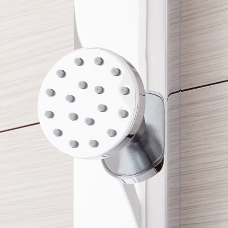 A large image of the Signature Hardware 931424 Signature Hardware-931424-Chrome Body Spray