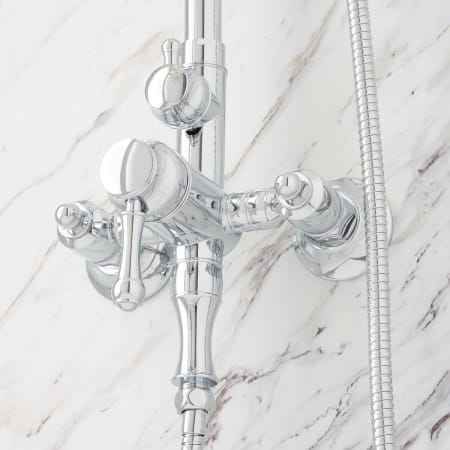 A large image of the Signature Hardware 936278 Alternate Image