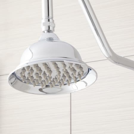 A large image of the Signature Hardware 939624 Signature Hardware-939624-Chrome Detail