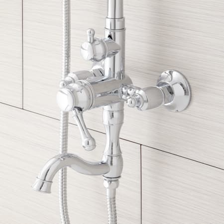 A large image of the Signature Hardware 939624 Signature Hardware-939624-Chrome Detail