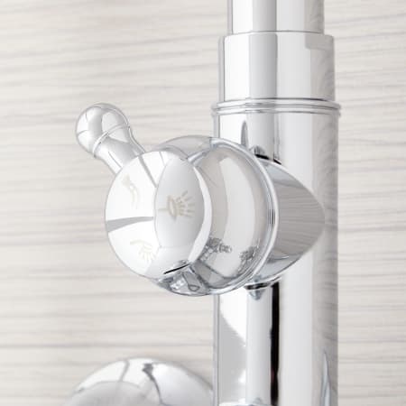 A large image of the Signature Hardware 939624 Signature Hardware-939624-Diverter Detail