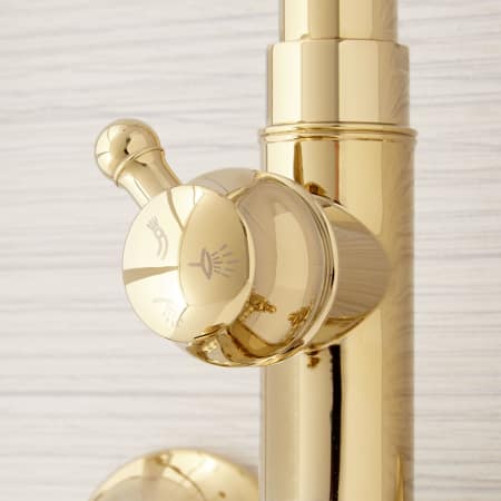 A large image of the Signature Hardware 939624 Signature Hardware-939624-Diverter Detail