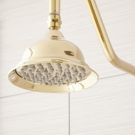 A large image of the Signature Hardware 939624 Signature Hardware-939624-Polished Brass Detail