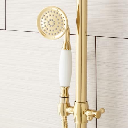 A large image of the Signature Hardware 939624 Signature Hardware-939624-Polished Brass Hand Shower
