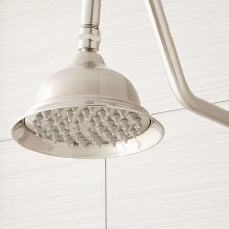 A large image of the Signature Hardware 939624 Signature Hardware-939624-Polished Nickel Detail