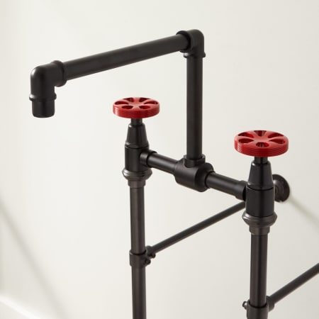 A large image of the Signature Hardware 940006 Signature Hardware-940006-Black Finish Detail