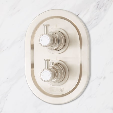 A large image of the Signature Hardware 940601-10-6 Signature Hardware-940601-10-6-Brushed Nickel Detail