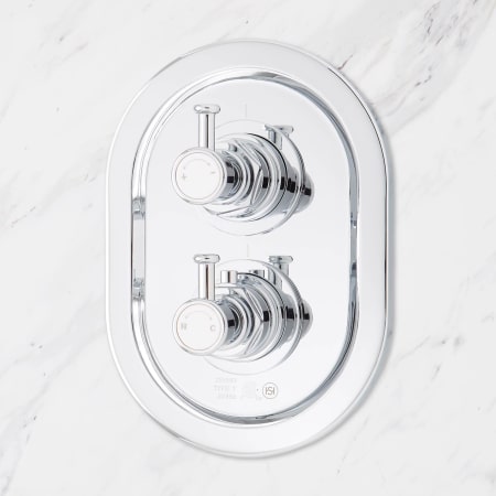 A large image of the Signature Hardware 940603-10 Signature Hardware-940603-10-Chrome Detail