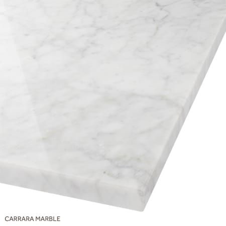 A large image of the Signature Hardware 941093-1 Signature Hardware-941093-1-Carrara Marble Close Up