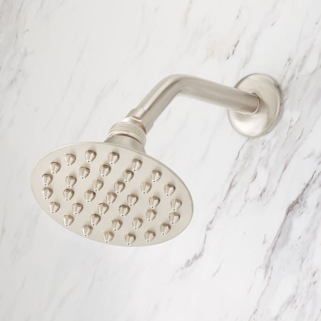 A large image of the Signature Hardware 942310-6 Shower Head Detail