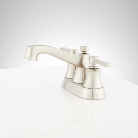 A large image of the Signature Hardware 948568 Alternate Image