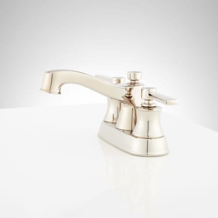 A large image of the Signature Hardware 948568 Alternate Image