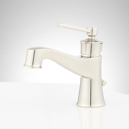 A large image of the Signature Hardware 948578 Alternate Image