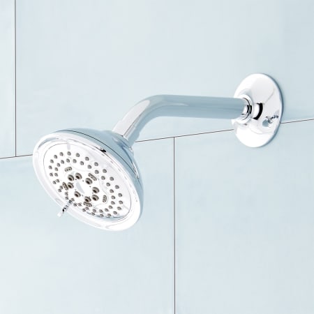 A large image of the Signature Hardware 948671 Alternate Image