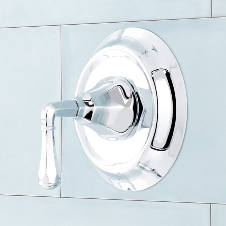 A large image of the Signature Hardware 948671 Alternate Image