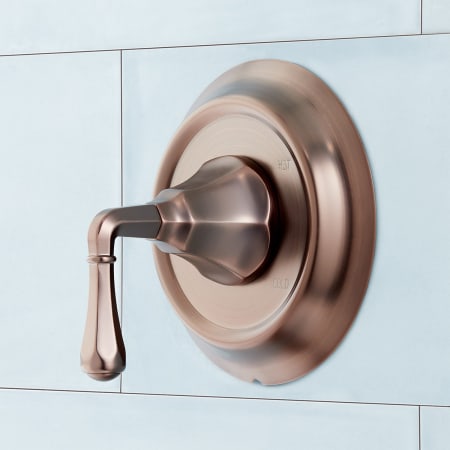 A large image of the Signature Hardware 948671 Alternate Image