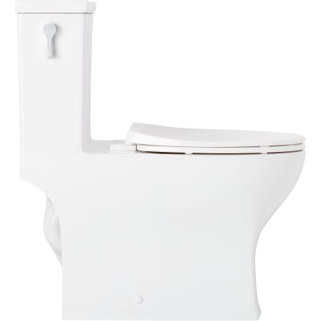 signature hardware carraway toilet