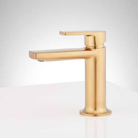A large image of the Signature Hardware 953646 Alternate Image