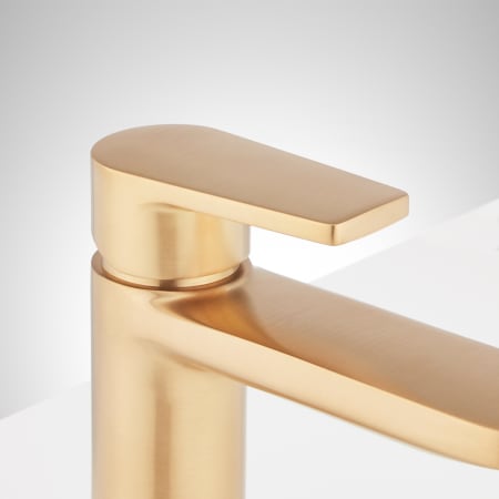 A large image of the Signature Hardware 953646 Alternate Image