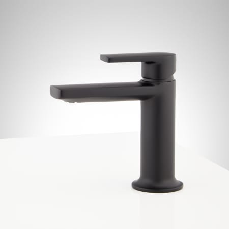 A large image of the Signature Hardware 953646 Alternate Image