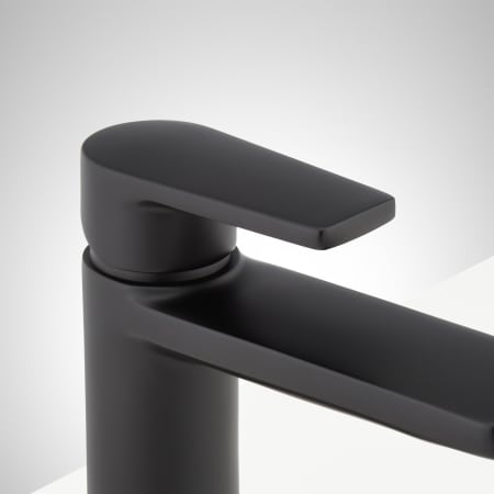A large image of the Signature Hardware 953646 Alternate Image